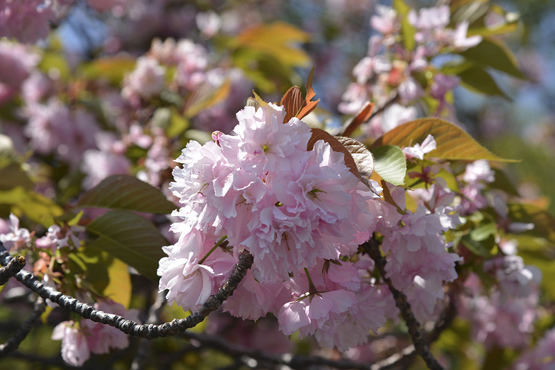 image0101