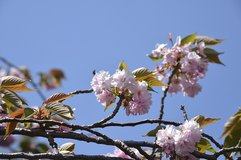image0104