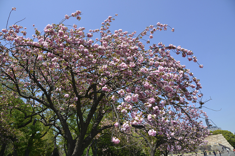 image0120
