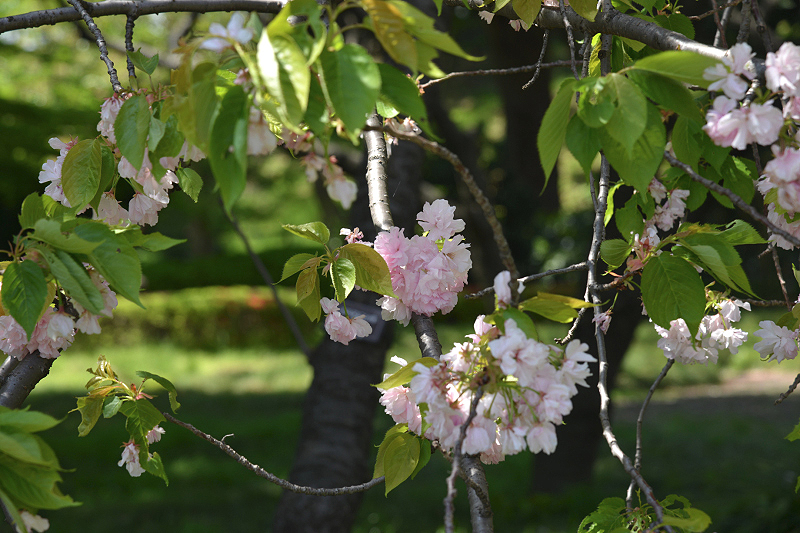 image0128