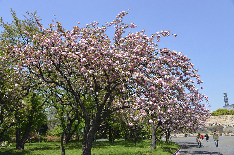 image0132