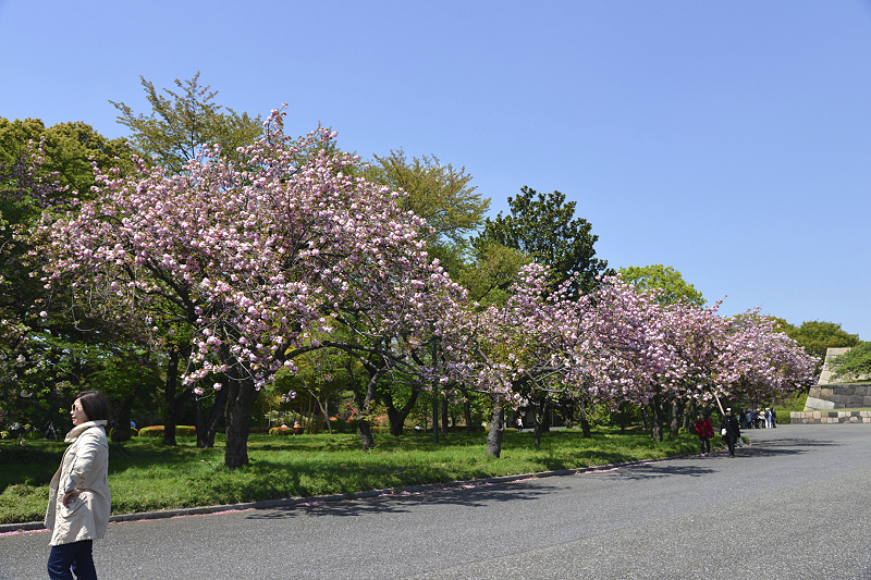 image0133
