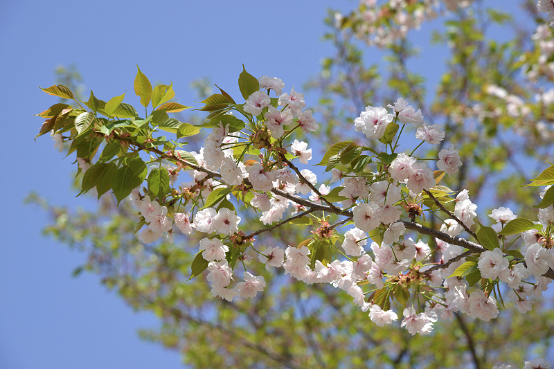 image0135