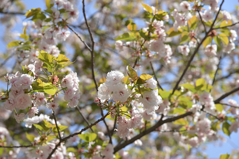 image0141