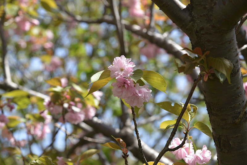 image0145