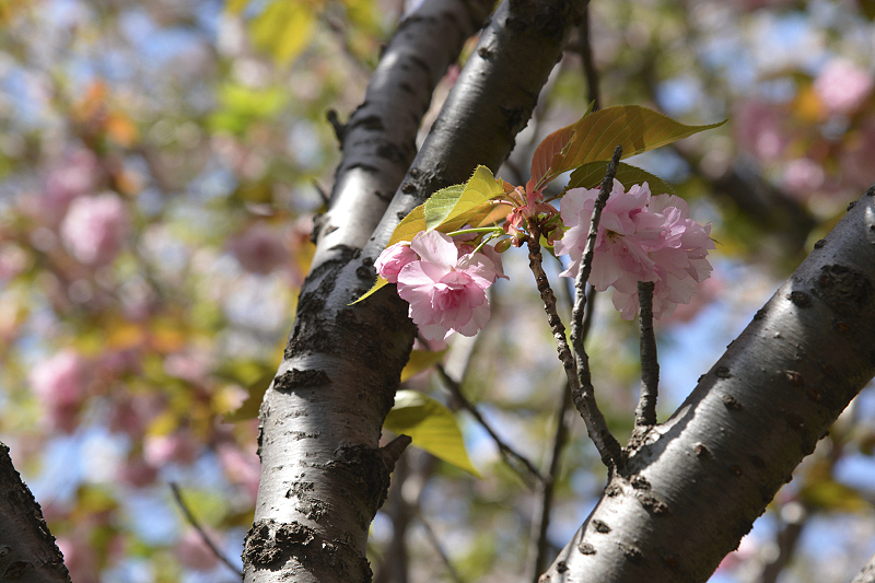 image0149