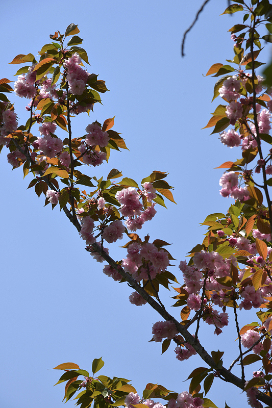 image0152