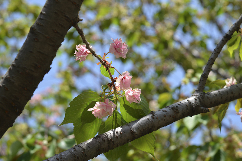 image0167