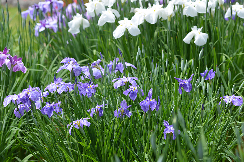 image0115