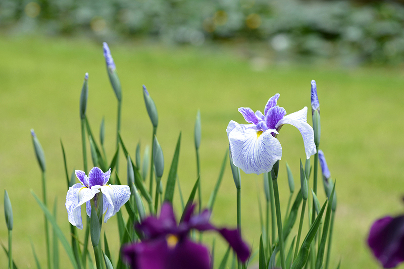 image0124