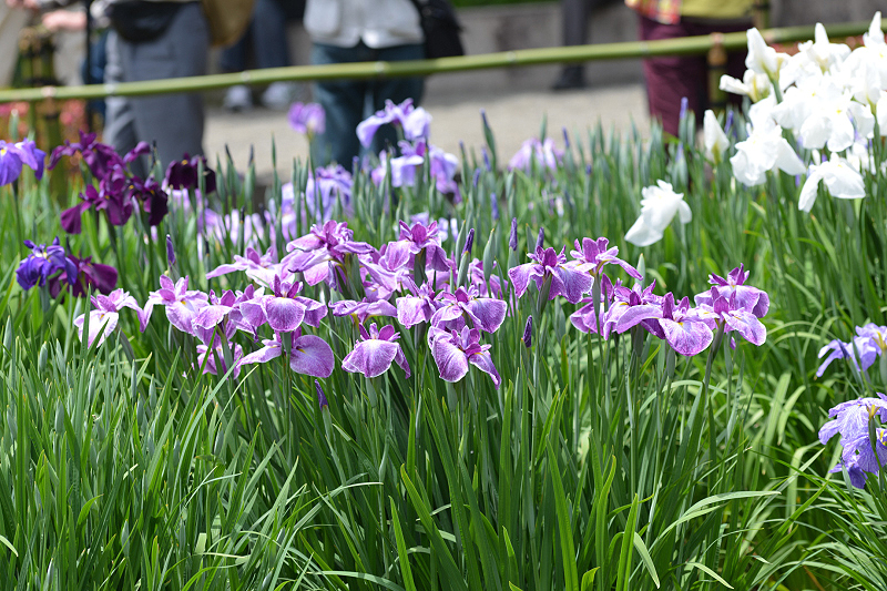image0133