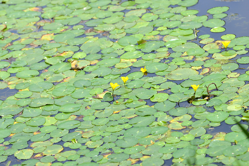 image0136
