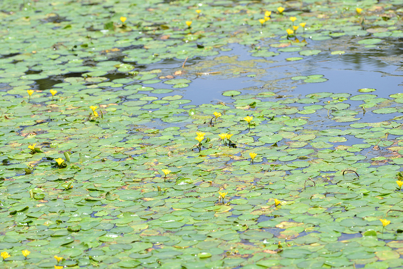image0137