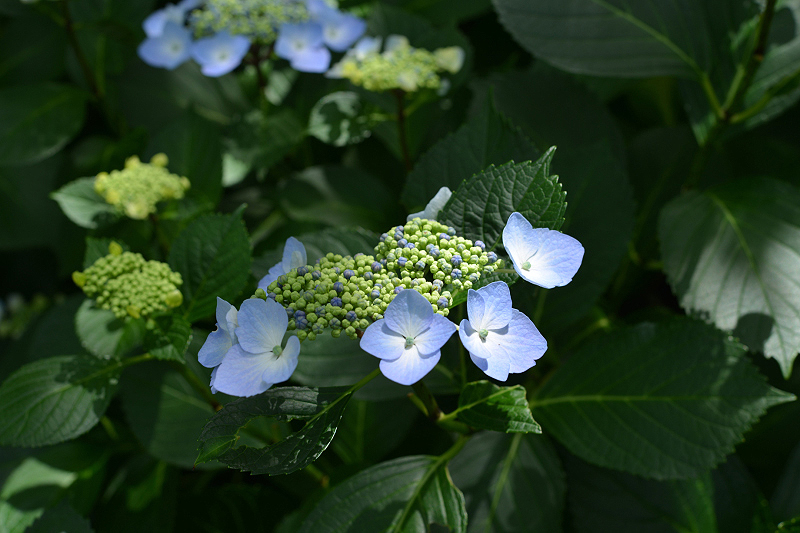 image0139