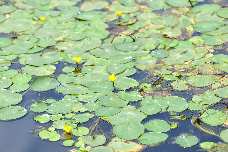 image0145