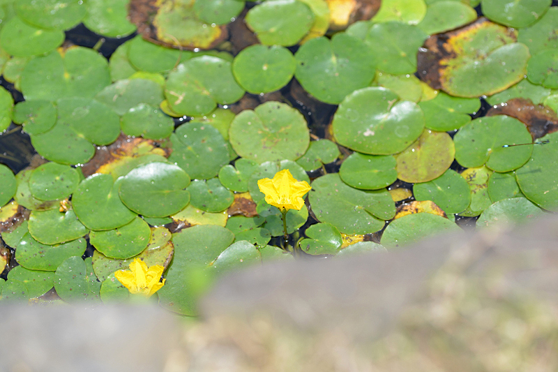 image0149