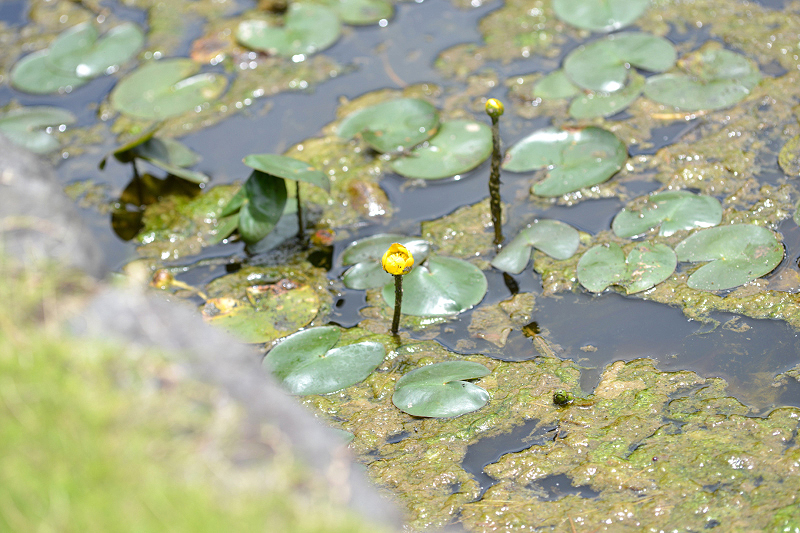 image0151