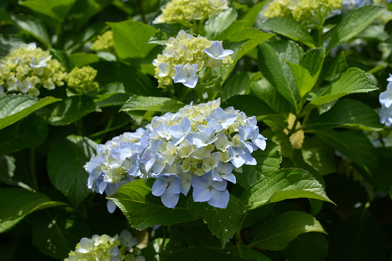 image0156