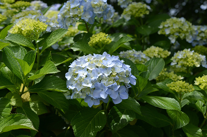image0157