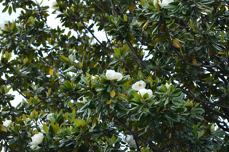 image0159