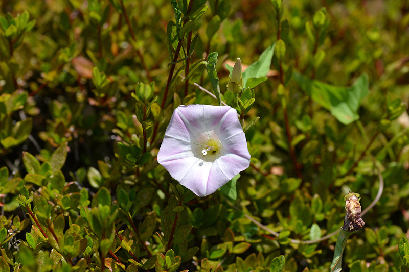 image0204