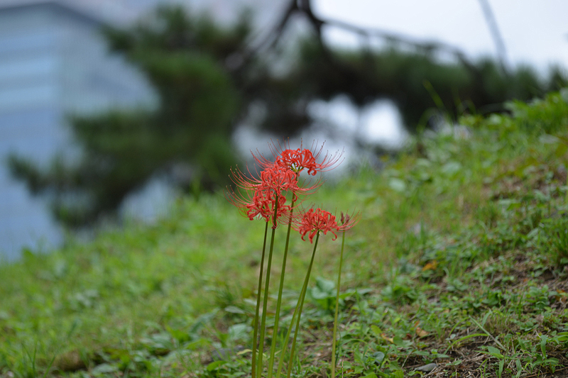 image0098