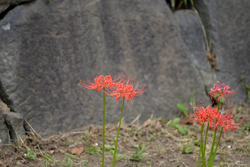 image0103