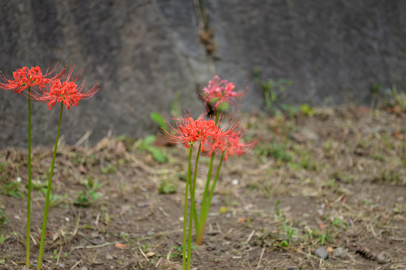 image0104