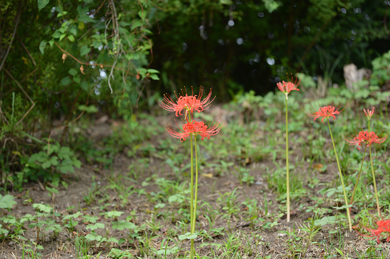 image0105
