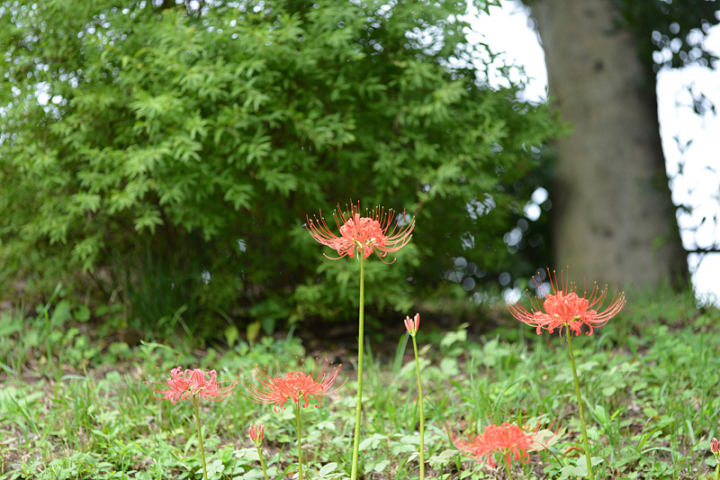 image0108