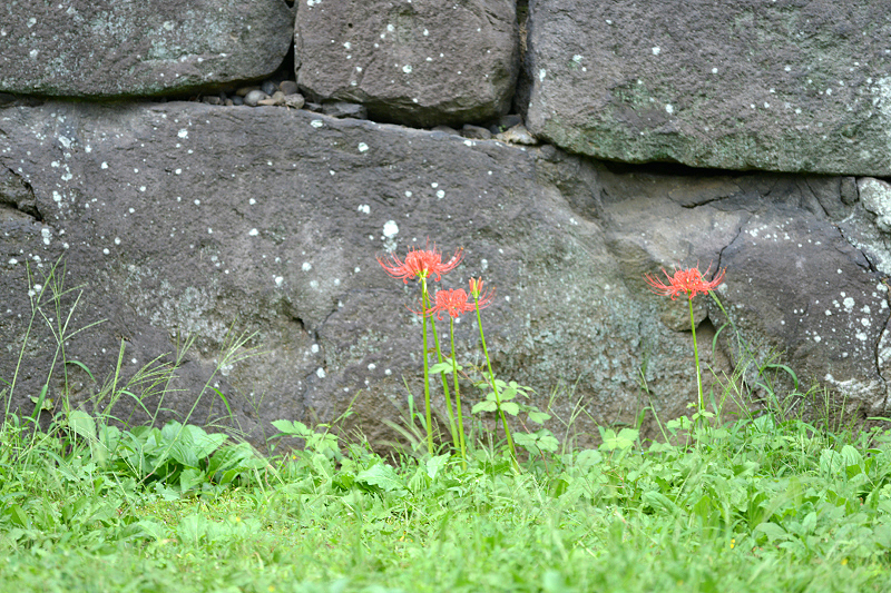 image0118