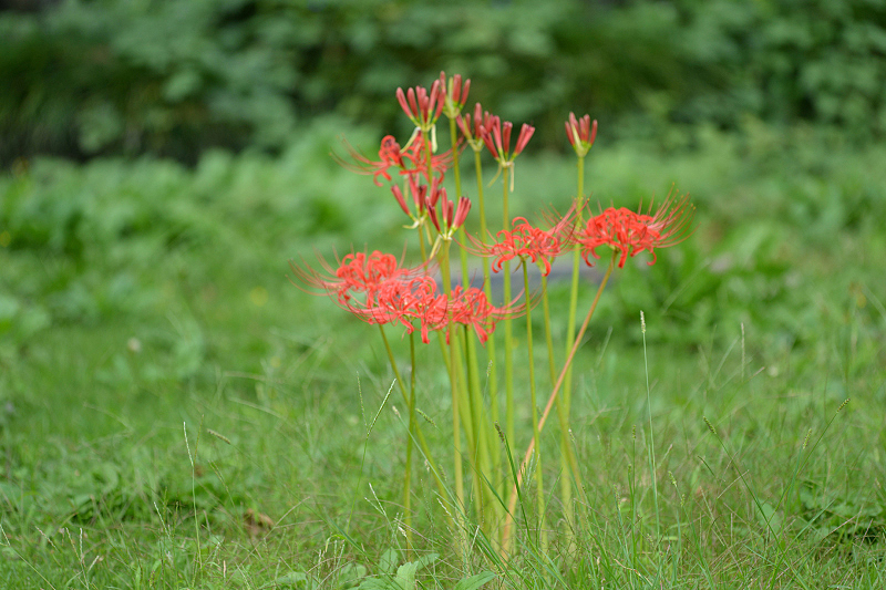 image0119