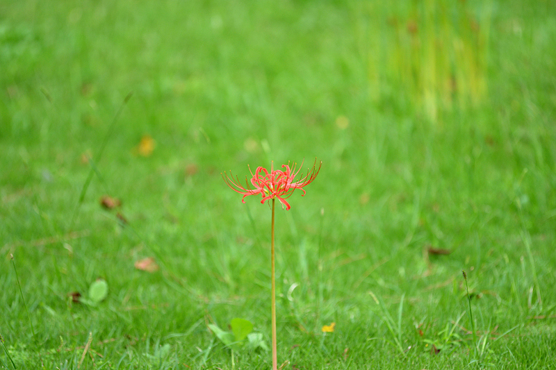 image0121