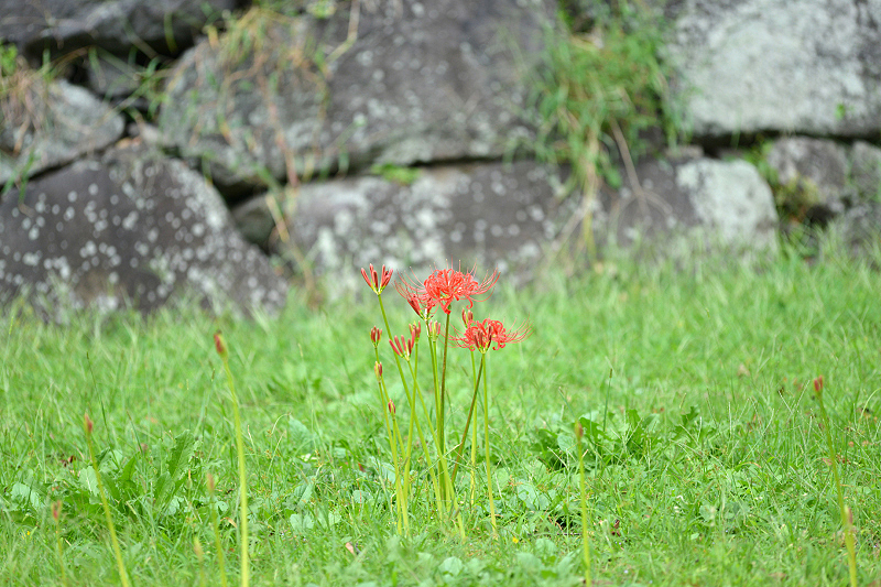 image0122