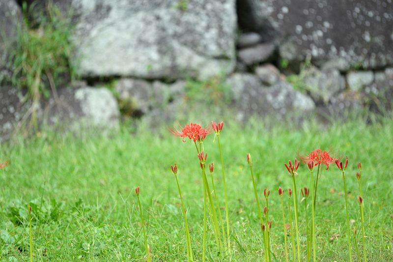 image0123