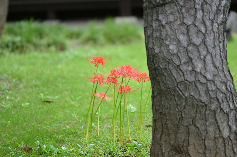 image0124