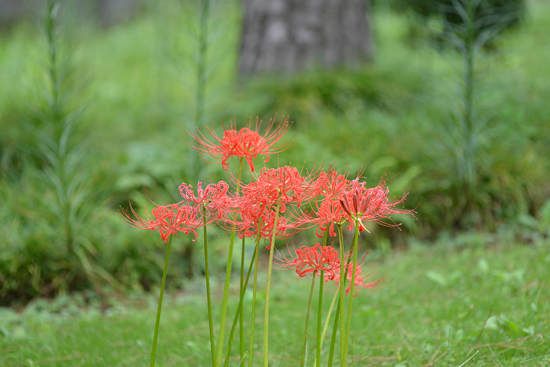 image0125