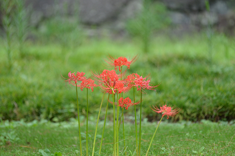 image0126