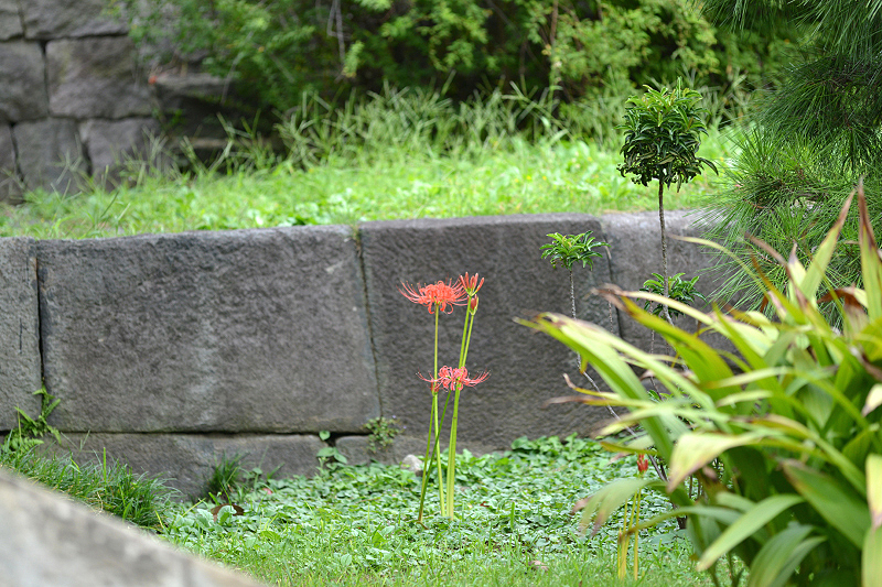 image0127