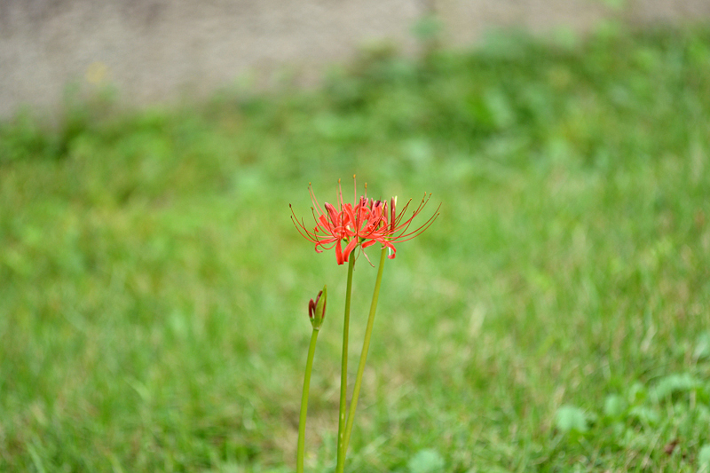 image0128