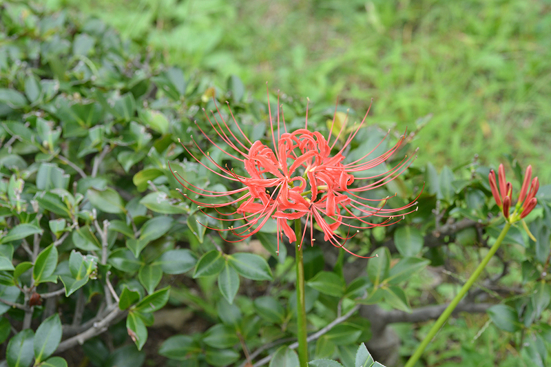 image0130