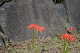 image0103