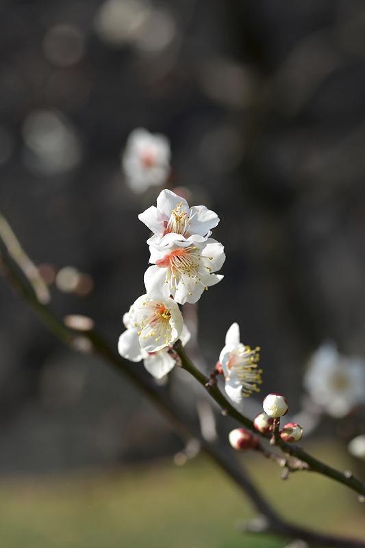 image0158