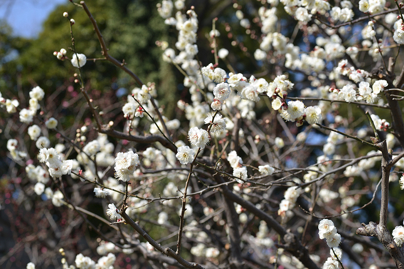 image0192