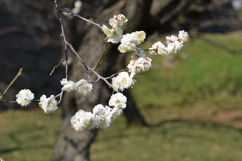 image0194