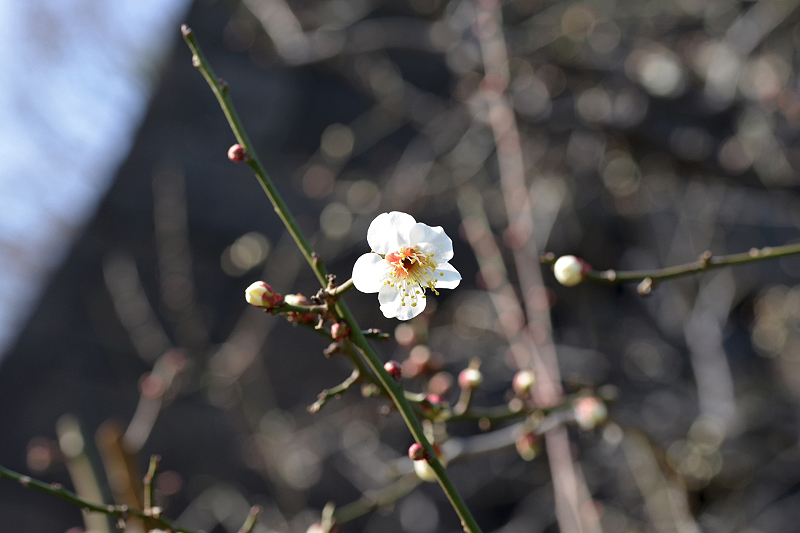 image0197