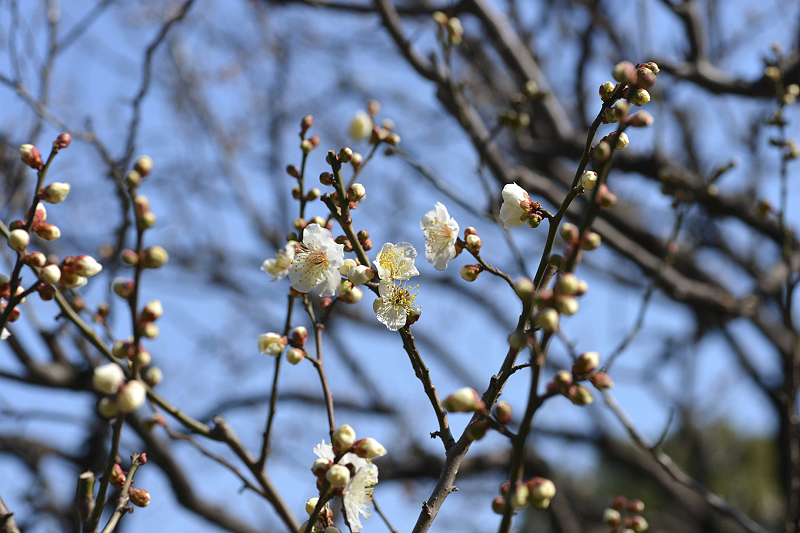 image0199