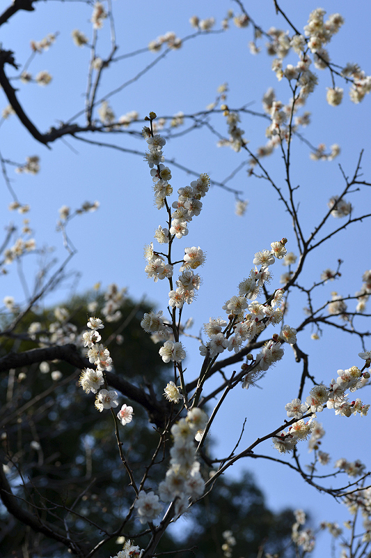 image0201