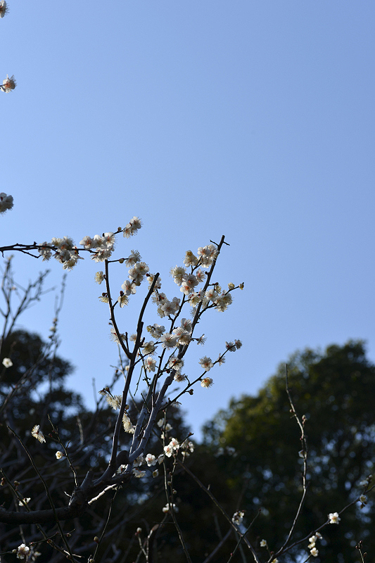 image0203