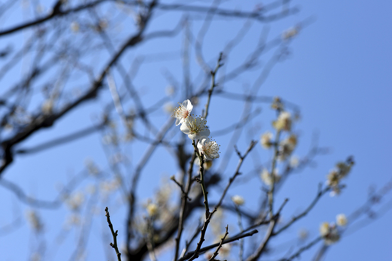 image0204
